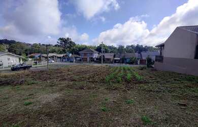 Imagem 6: Excelente terreno comercial em Ivoti