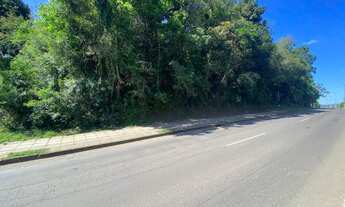 Imagem 7: Área de terra com excelente localização em Ivoti