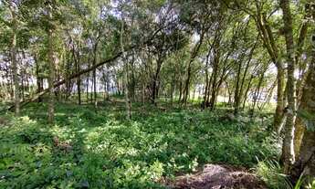 Imagem 5: Terreno no bairro Cidade Nova - Ivoti