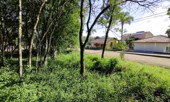 Imagem 2: Terreno no bairro Cidade Nova - Ivoti