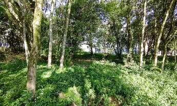 Imagem 5: Terreno no bairro Cidade Nova - Ivoti