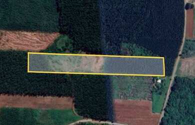 Imagem 5: Área de terras em Presidente Lucena