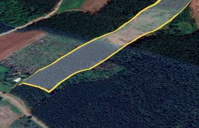 Imagem 7: Área de terras em Presidente Lucena