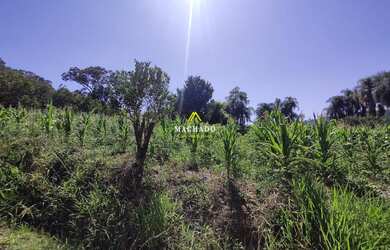 Imagem 3: Área de terras em Lindolfo Collor