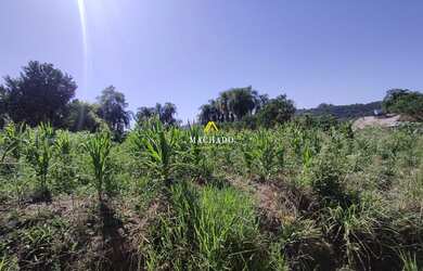 Imagem 4: Área de terras em Lindolfo Collor