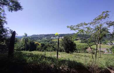 Imagem 7: Área de terras em Lindolfo Collor