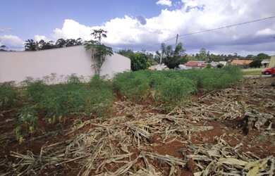 Imagem 3: Terreno no bairro Concórdia - Ivoti