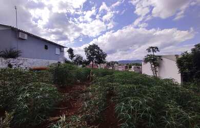 Imagem 5: Terreno no bairro Concórdia - Ivoti