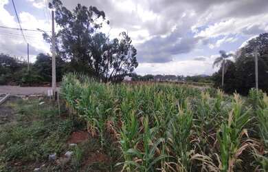 Imagem 5: Terreno de esquina localizado no bairro Concórdia