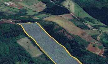 Imagem 6: Excelente área de terras com 5.5 Hectares