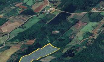 Imagem 7: Excelente área de terras com 5.5 Hectares