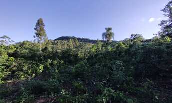 Imagem 4: Excelente área de terras com 5.5 Hectares