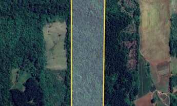 Imagem 5: Excelente área de terras com 5.5 Hectares