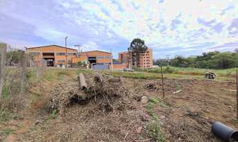 Imagem 4: Terreno pronto para construir