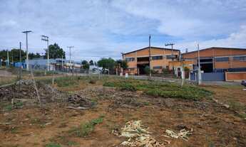 Imagem 5: Terreno pronto para construir