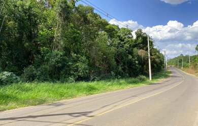 Imagem 3: Área de terra em Ivoti - Palmares