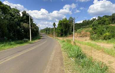 Imagem 4: Área de terra em Ivoti - Palmares