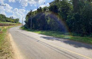 Imagem 2: Área de terra em Ivoti - Palmares