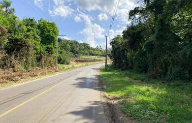 Imagem 3: Área de terra em Ivoti - Palmares