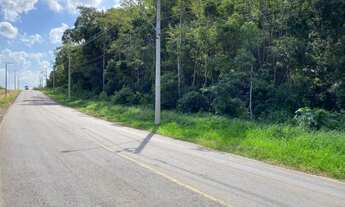 Imagem 4: Área de terra em Ivoti - Palmares