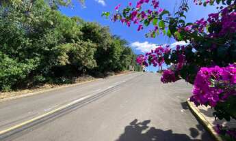 Imagem 2: Terrenos no bairro Vista Alegre