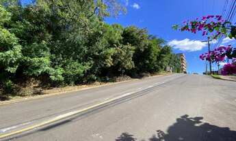 Imagem 3: Terrenos no bairro Vista Alegre