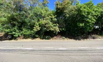 Imagem 4: Terrenos no bairro Vista Alegre