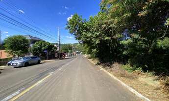 Imagem 5: Terrenos no bairro Vista Alegre