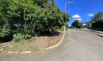 Imagem 7: Terrenos no bairro Vista Alegre