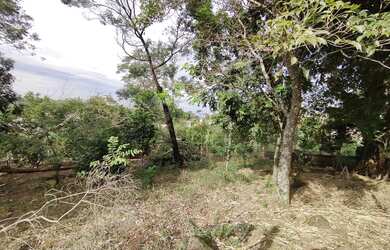 Imagem 4: Amplo terreno com vista panorâmica