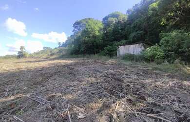 Imagem 5: Excelente área com vista panorâmica