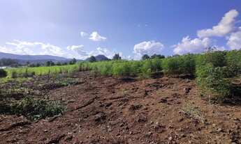 Imagem: Excelente área de terras