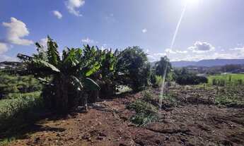 Imagem 4: Excelente área de terras