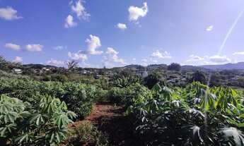 Imagem 6: Excelente área de terras