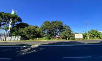 Imagem 2: Terreno no bairro Cidade Nova - Ivoti