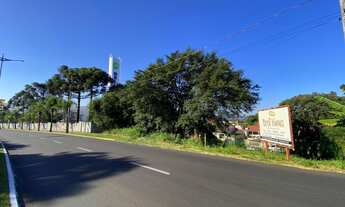 Imagem 4: Terreno no bairro Cidade Nova - Ivoti