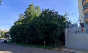 Imagem 2: Terrenos no Centro de Ivoti