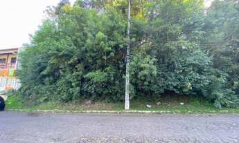 Imagem 4: Terrenos no Centro de Ivoti