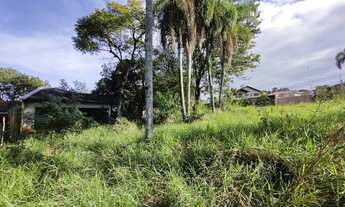 Imagem 3: Amplo terreno de Esquina