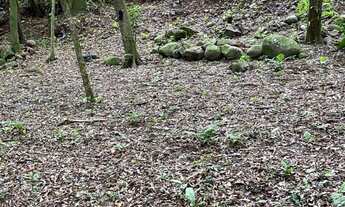 Imagem 3: Terreno com projeto arquitetônico - Ivoti