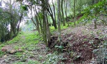 Imagem 4: Terreno com projeto arquitetônico - Ivoti