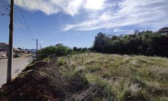 Imagem 3: Área com 5 terrenos em Ivoti