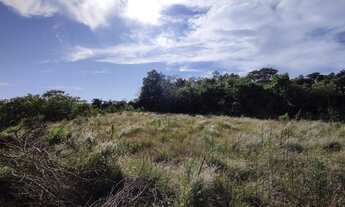 Imagem 4: Área com 5 terrenos em Ivoti