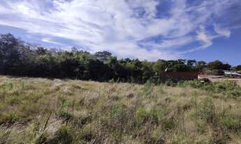 Imagem 5: Área com 5 terrenos em Ivoti