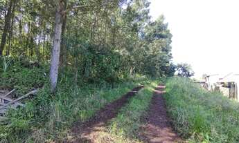 Imagem: Excelente área de terras