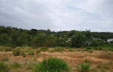 Imagem 3: Loteamento Scheffler, 300M² de Área Total