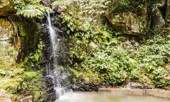 Imagem: Chácara com 2 Dormitorio(s) localizado(a)