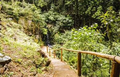 Imagem 5: Chácara com 2 Dormitorio(s) localizado(a) no bairro em São Francisco de Paula / Rio Gran