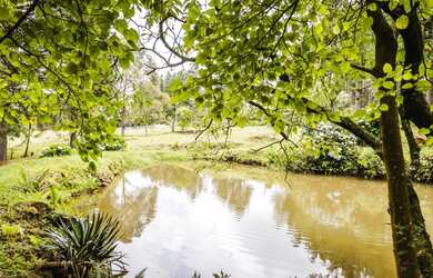 Imagem 7: Chácara com 2 Dormitorio(s) localizado(a) no bairro em São Francisco de Paula / Rio Gran