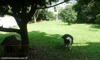 Imagem: Casa com 4 Dormitorio(s) localizado(a) no